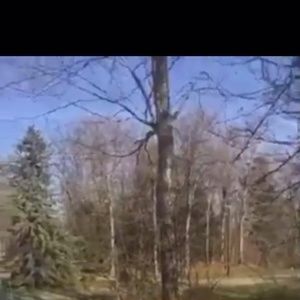 Meet your Posher, Iro